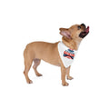 Stateside Fur Ball pet bandana; white patriotic design in red, white & blue on a dog.