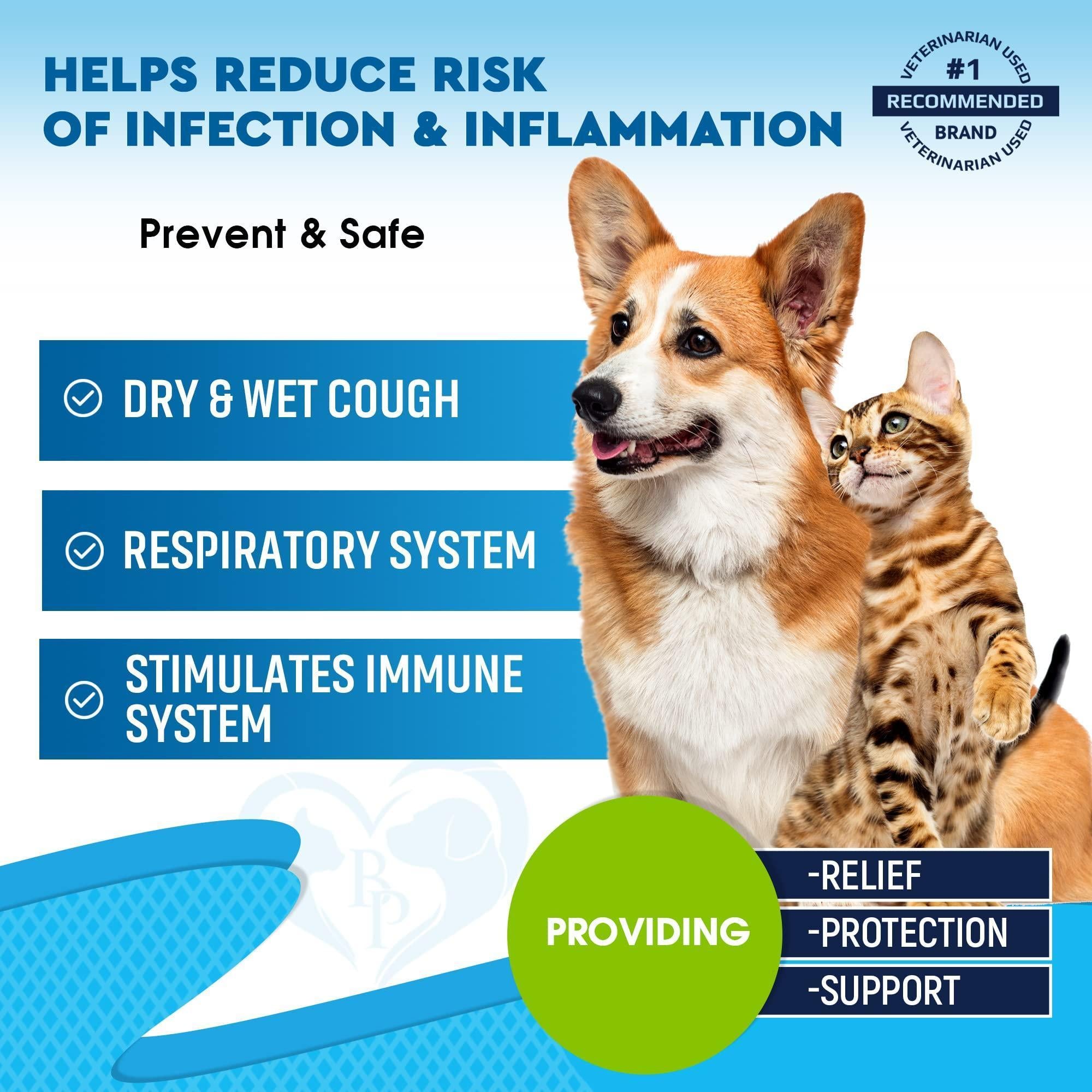 Natural Kennel Cough Treatment for Dogs and Cats Herbal Cough Relief Drops by STATESIDE NOVA