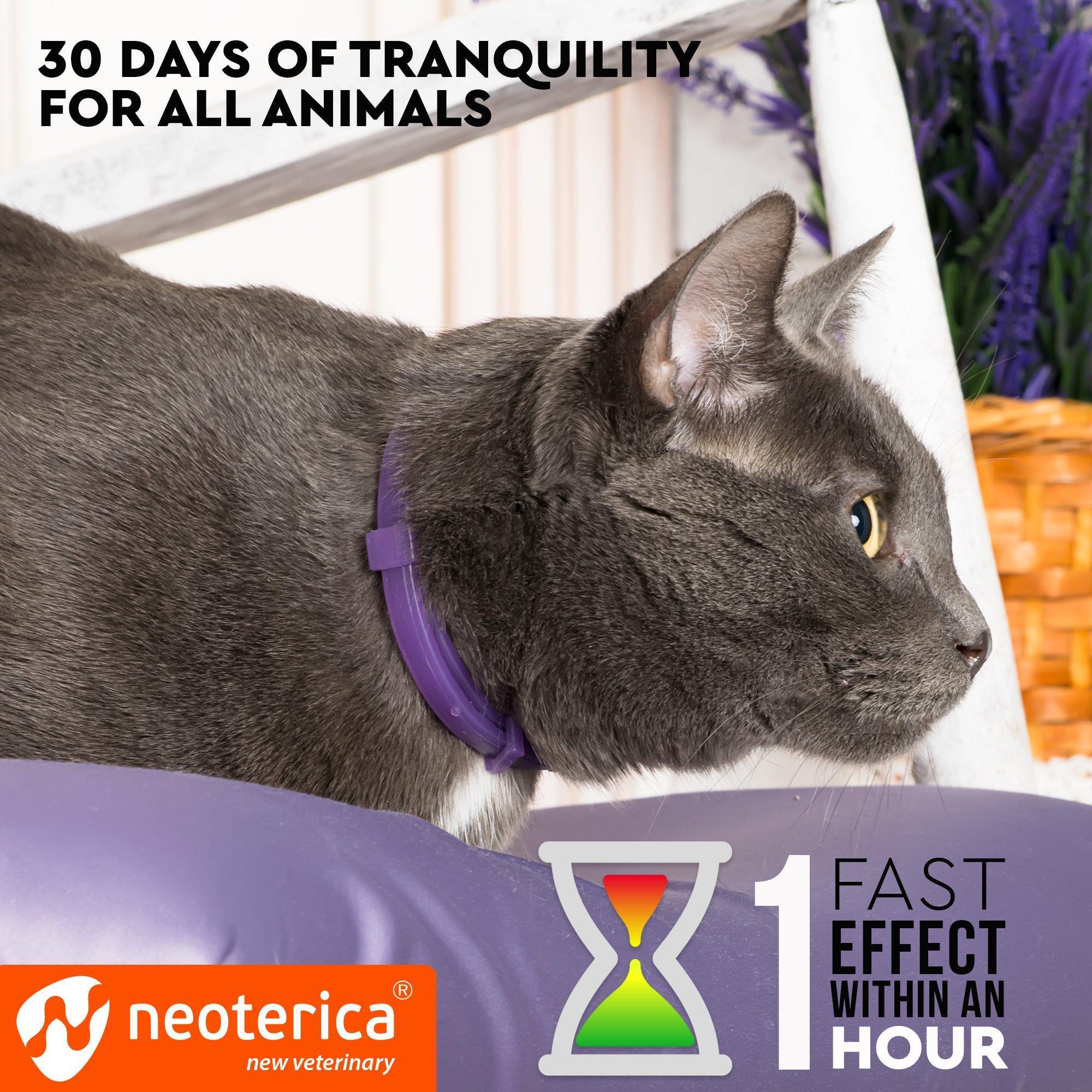 Cat Calming Collar Pheromone Anti Anxiety Relief for Cats by STATESIDE NOVA