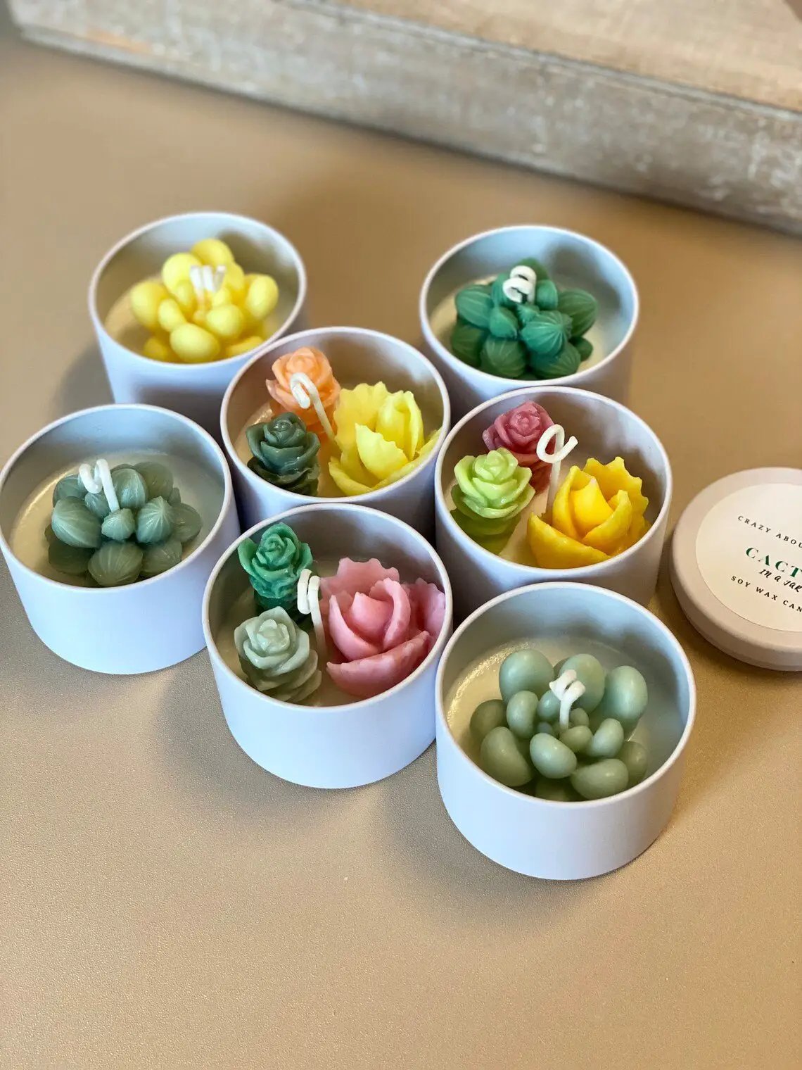 Cactus In A Jar Handmade Scented Soy Wax Candle Gift by STATESIDE NOVA