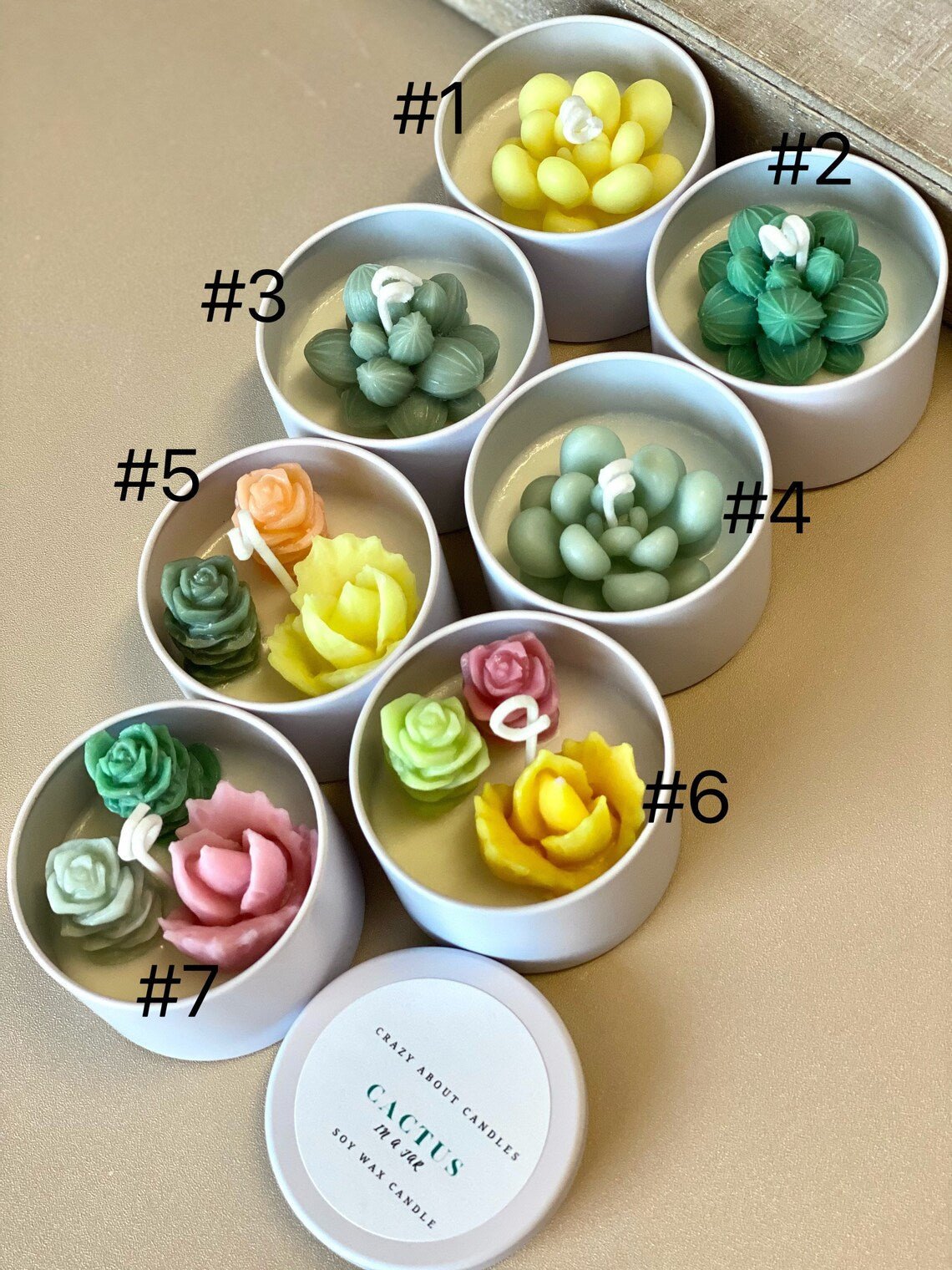 Cactus In A Jar Handmade Scented Soy Wax Candle Gift by STATESIDE NOVA