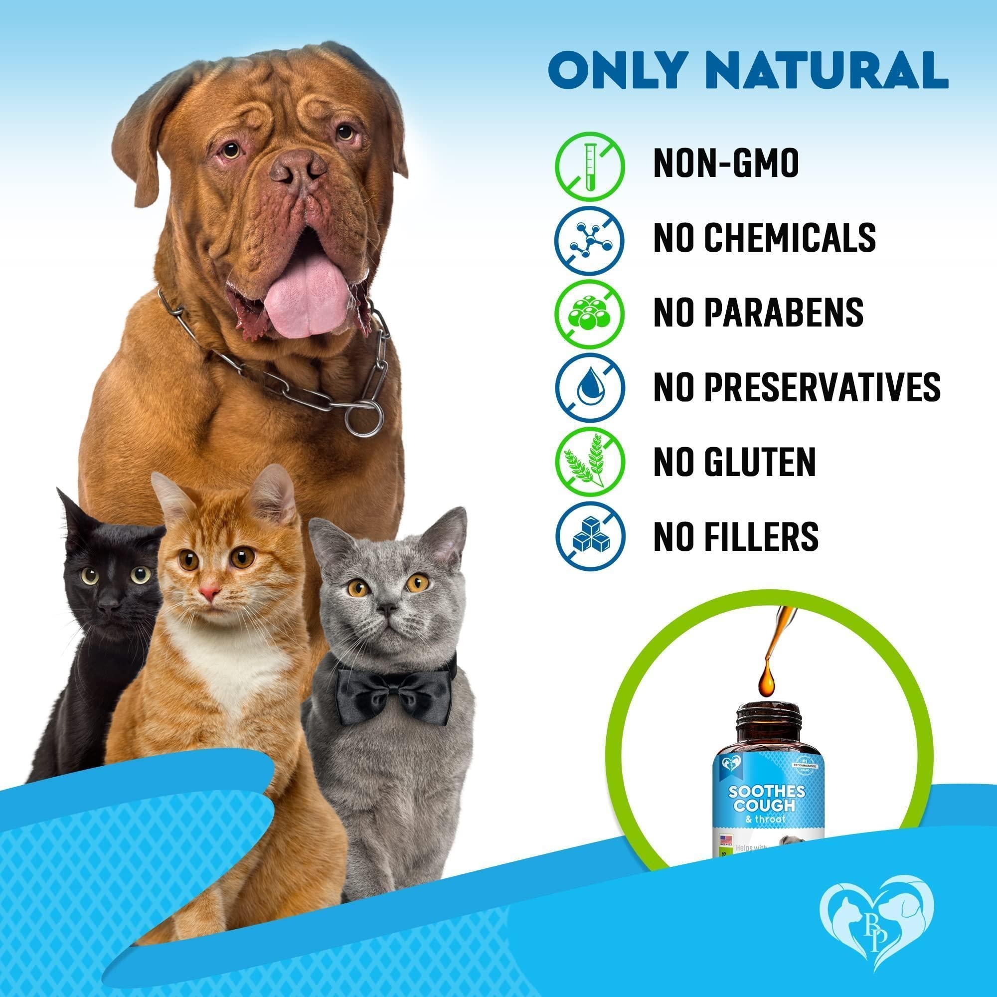 Natural Kennel Cough Treatment for Dogs and Cats Herbal Cough Relief Drops by STATESIDE NOVA