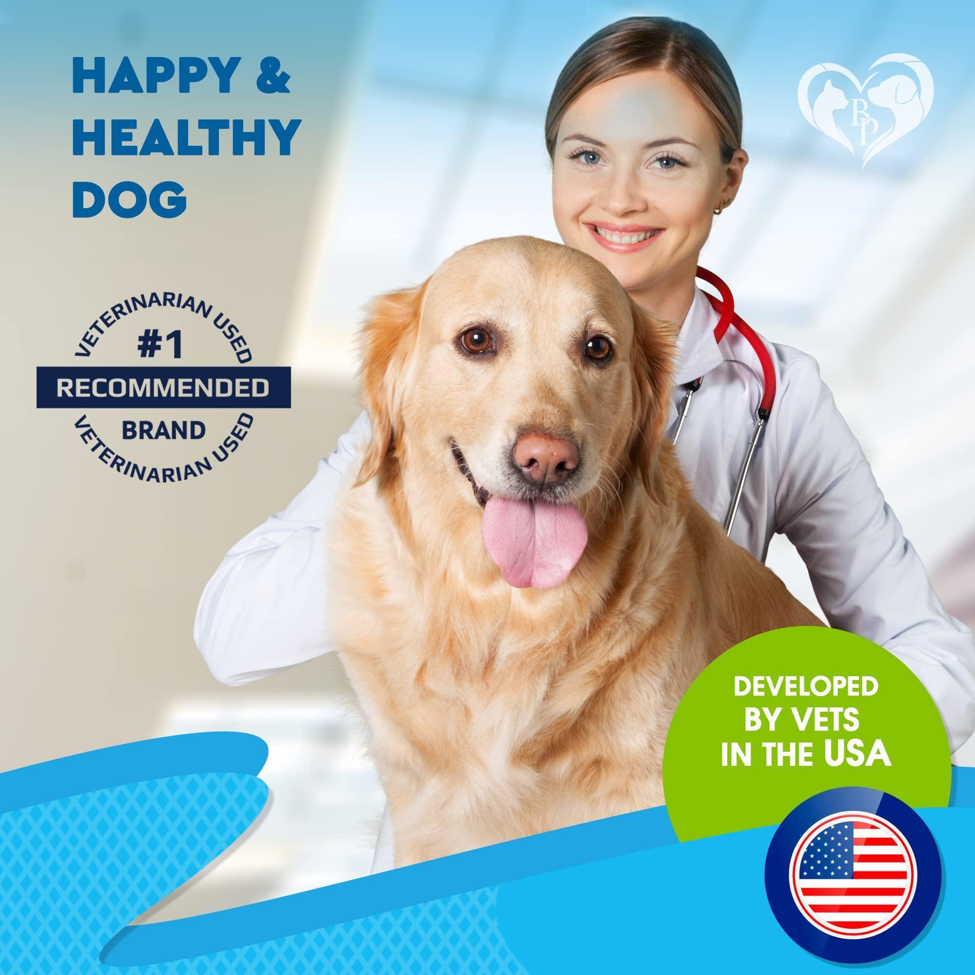 Natural Kennel Cough Treatment for Dogs and Cats Herbal Cough Relief Drops by STATESIDE NOVA