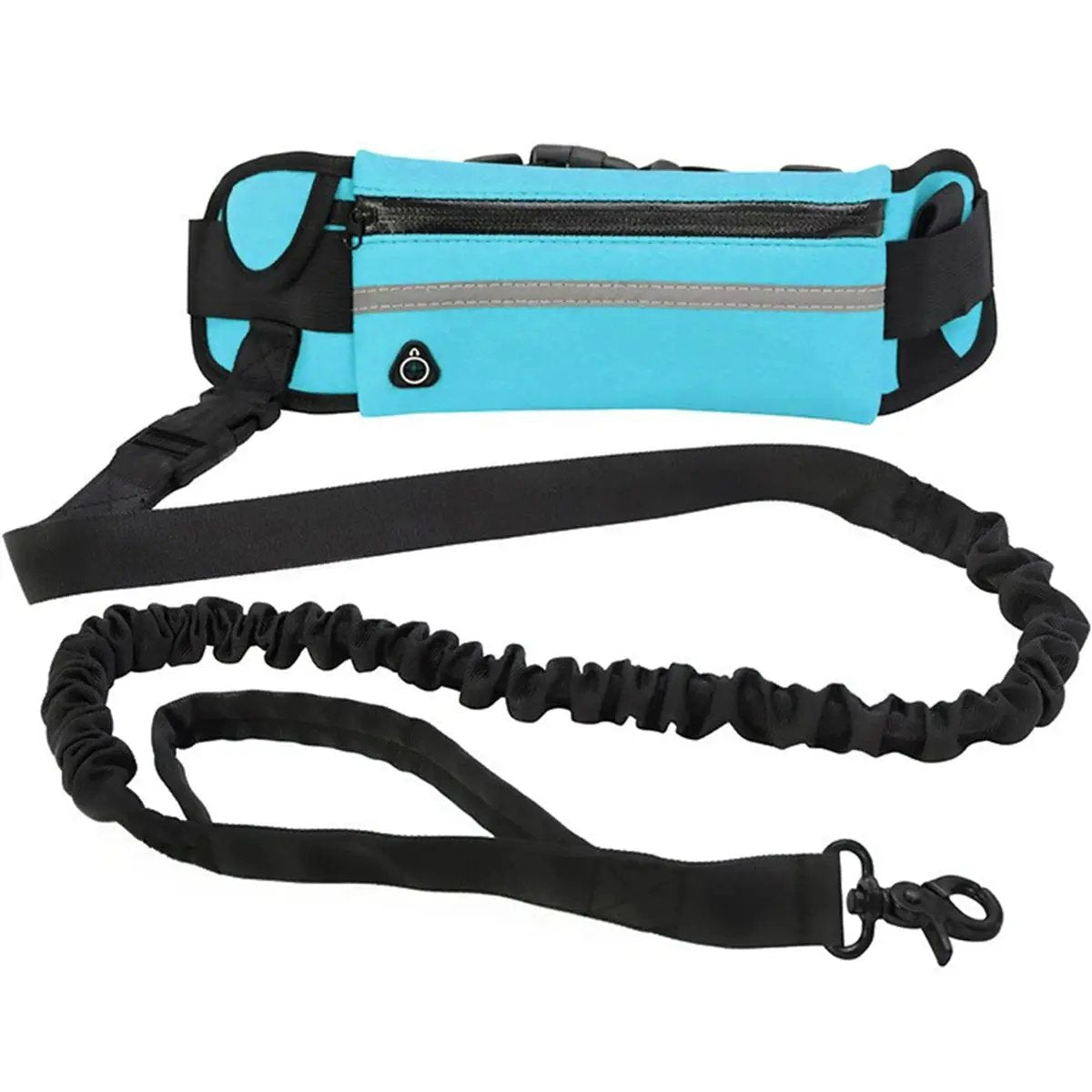 Hands Free Dog Leash by ViralGalleria.com, turquoise waist bag with zipper pocket and black bungee leash.