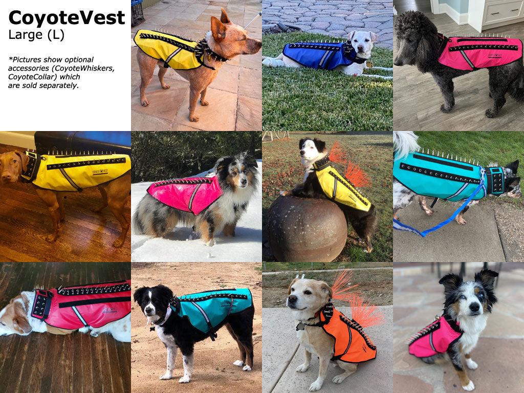 CoyoteVest Patented Dog Protection Vest For Safe Outdoor Walks And Adventures For All Weather Protection by CoyoteVest