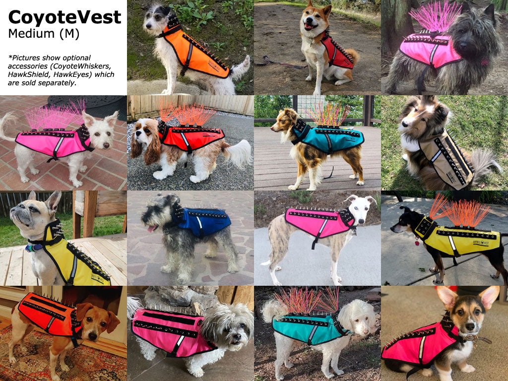 CoyoteVest Patented Dog Protection Vest For Safe Outdoor Walks And Adventures For All Weather Protection by CoyoteVest