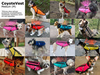 CoyoteVest Patented Dog Protection Vest For Safe Outdoor Walks And Adventures For All Weather Protection by CoyoteVest