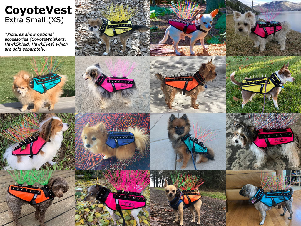 CoyoteVest Patented Dog Protection Vest For Safe Outdoor Walks And Adventures For All Weather Protection by CoyoteVest