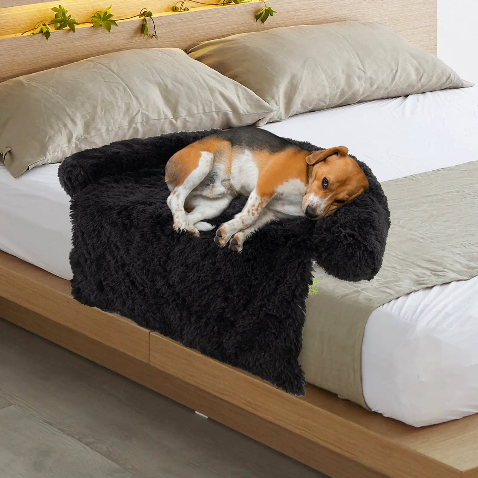 Plush Calming Dog Couch Bed with anti-slip bottom in black, dog resting on it
