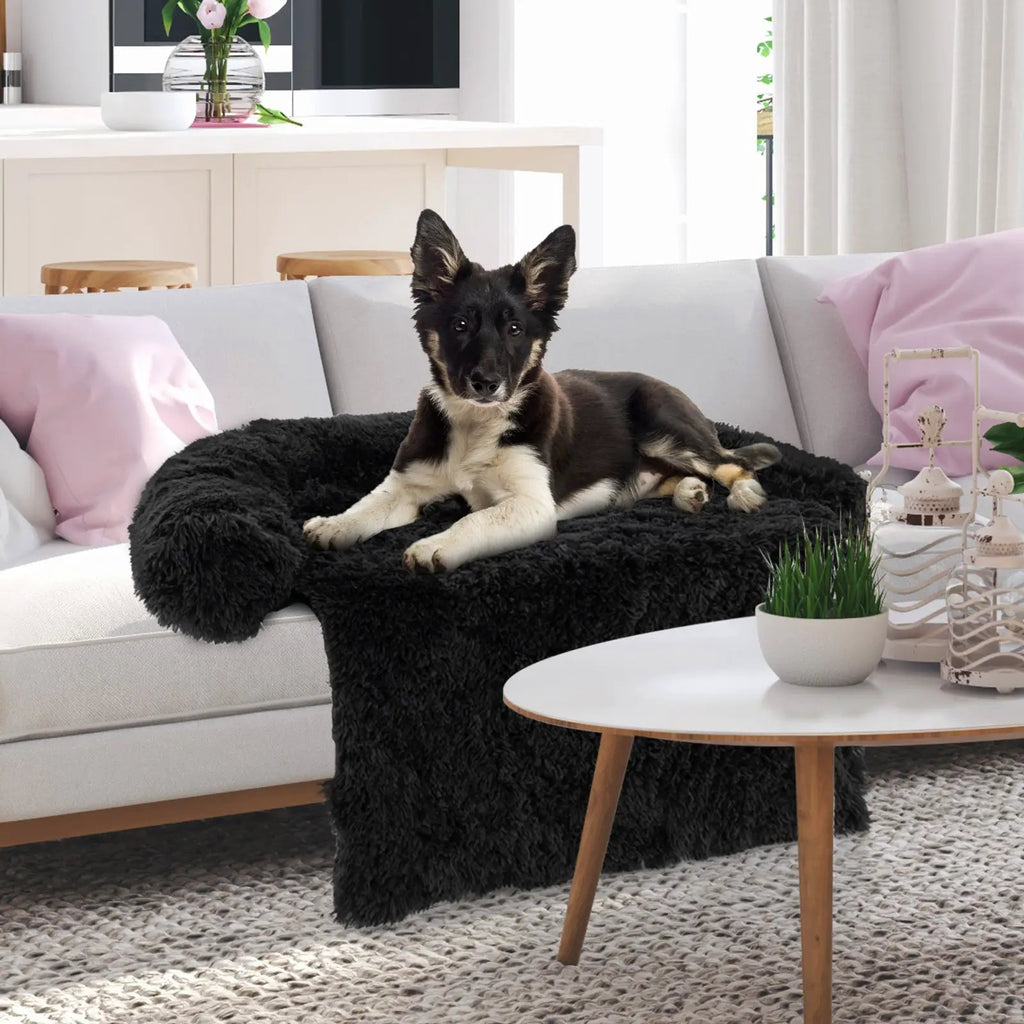 Plush Calming Dog Couch Bed with Anti-Slip Bottom-M by GBruno Store, black fluffy bed on white sofa