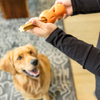 Natural dental stick held up beside a dog.