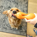 Dog receiving a natural dental stick treat.