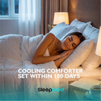 Cooling Comforter Set – Temperature-Regulating Eucalyptus Silk Comforter & Pillow Shams