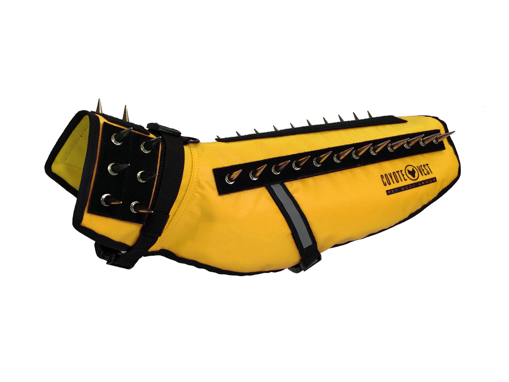 CoyoteVest Patented Dog Protection Vest For Safe Outdoor Walks And Adventures For All Weather Protection by CoyoteVest