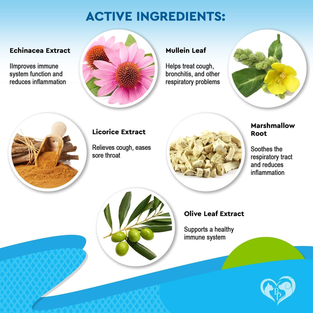 Natural Kennel Cough Treatment for Dogs and Cats Herbal Cough Relief Drops by STATESIDE NOVA
