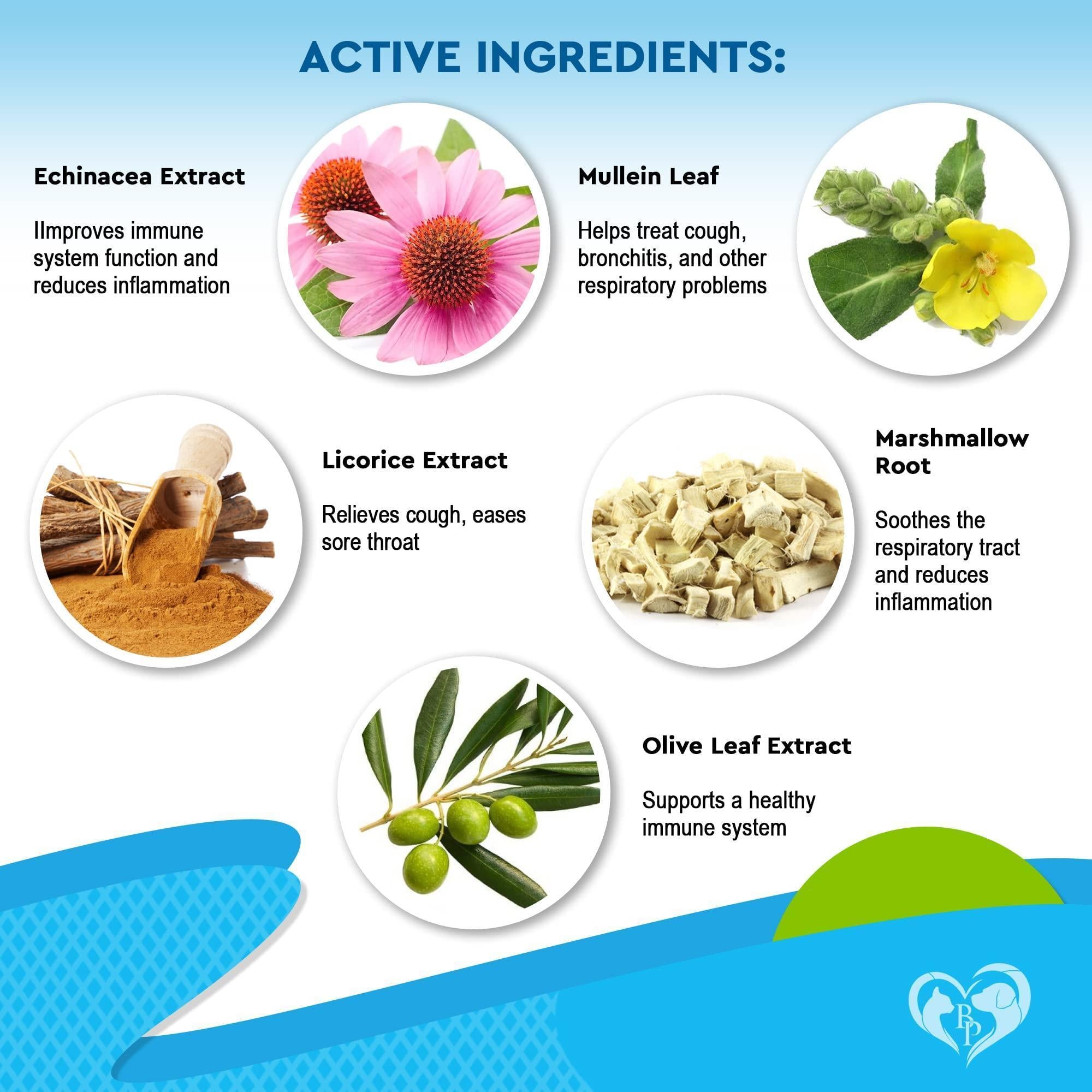 Natural Kennel Cough Treatment for Dogs and Cats Herbal Cough Relief Drops by STATESIDE NOVA