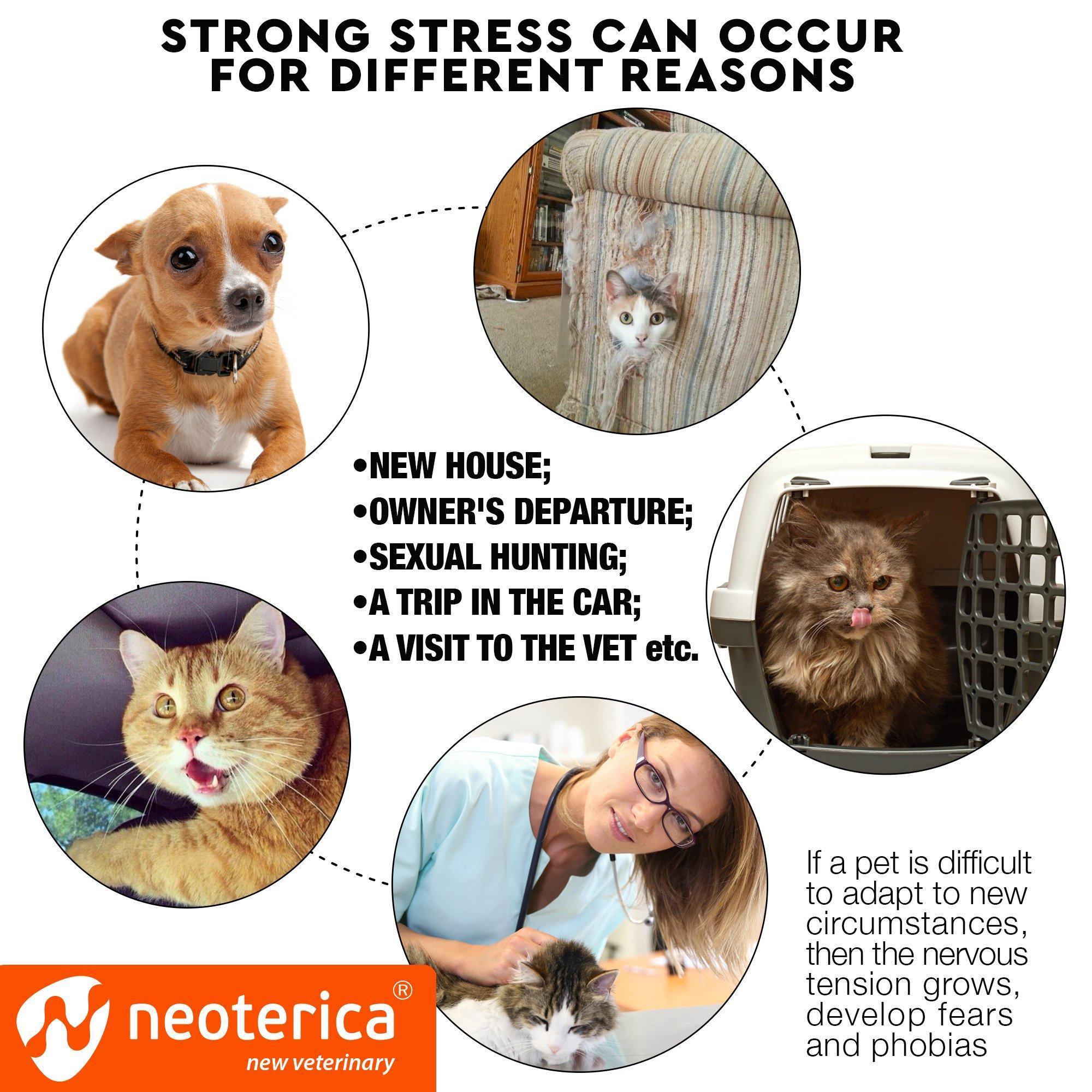 Cat Calming Collar Pheromone Anti Anxiety Relief for Cats by STATESIDE NOVA