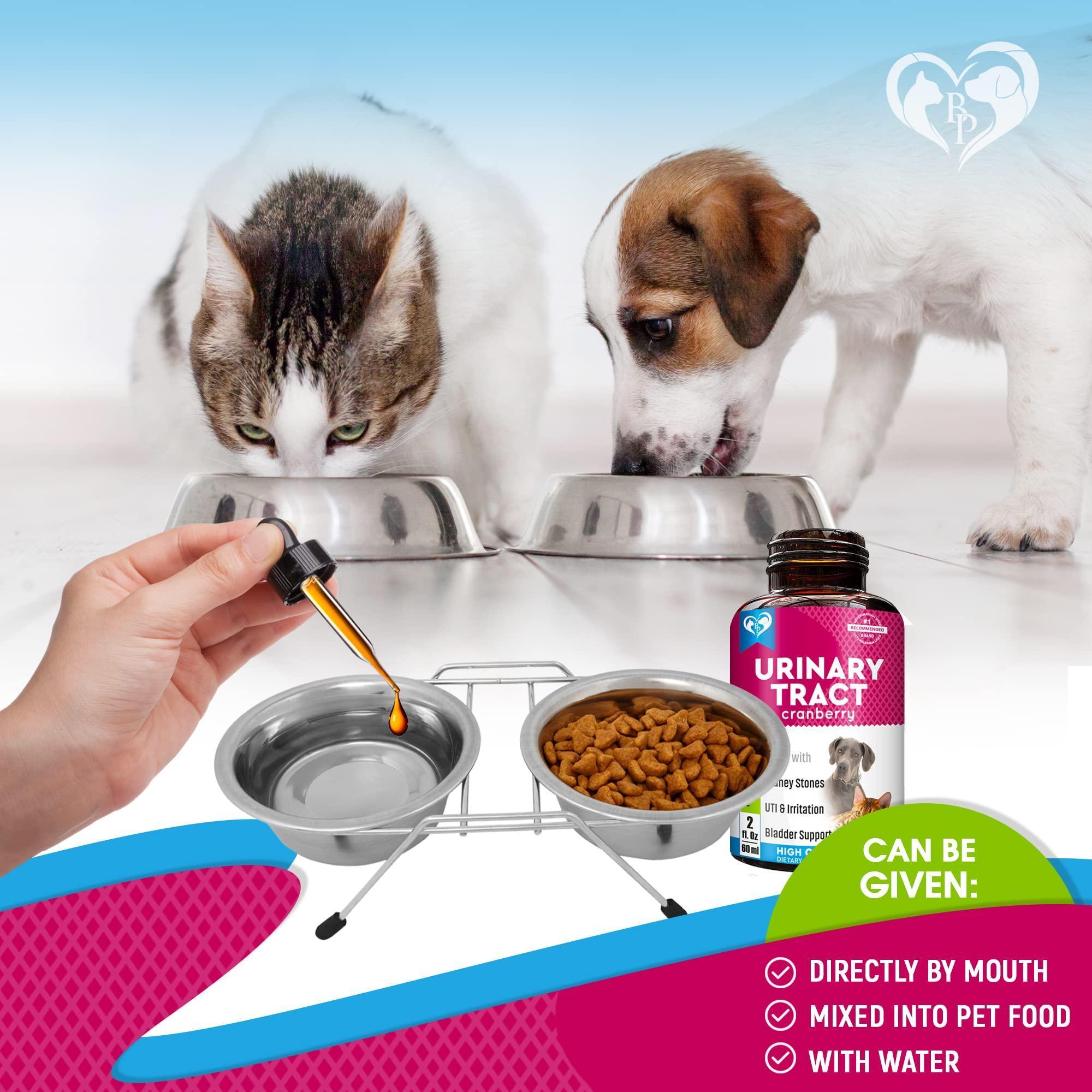 Natural UTI Drops For Cats And Dogs With Cranberry Relief by STATESIDE NOVA