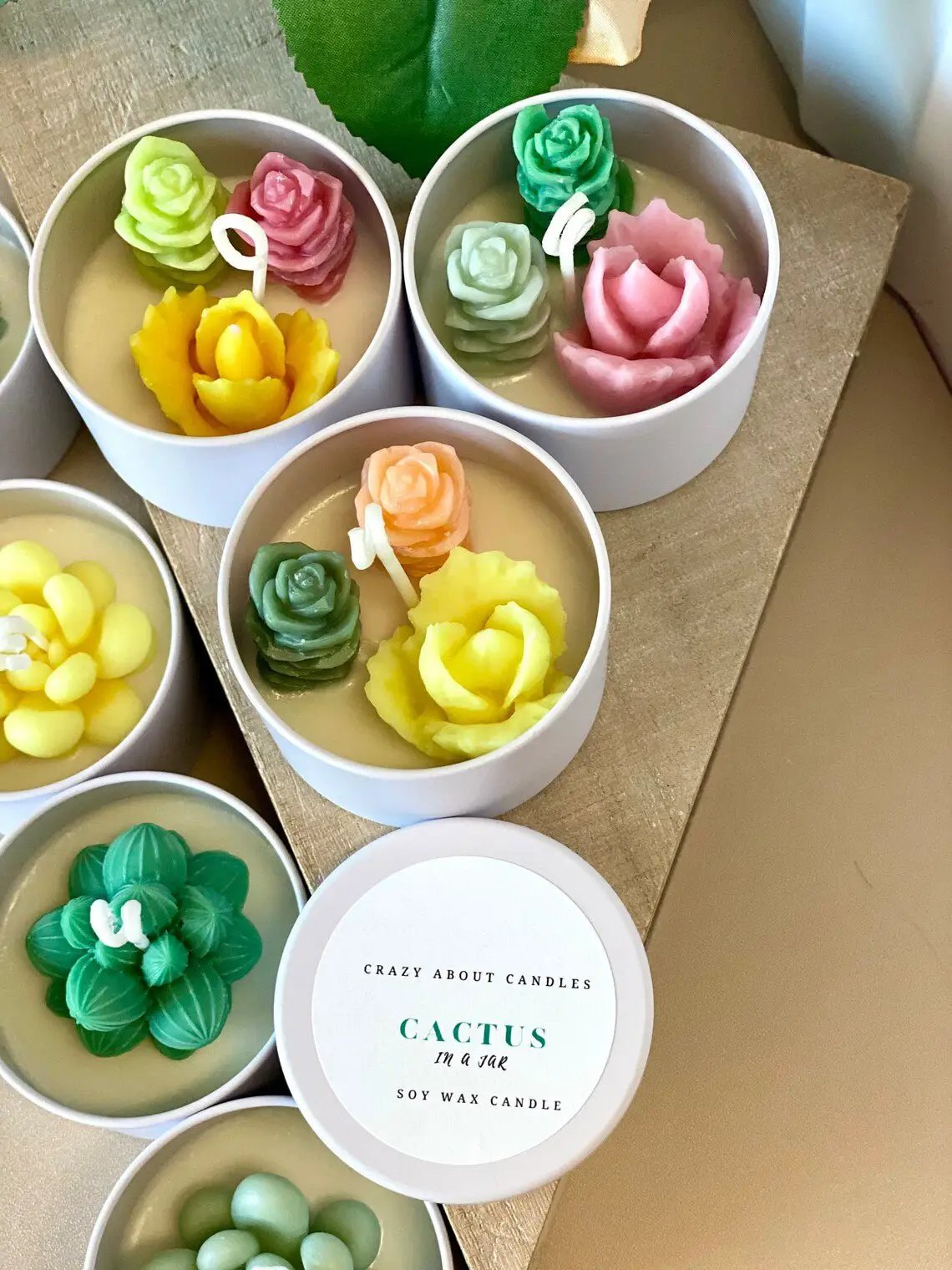 Cactus In A Jar Handmade Scented Soy Wax Candle Gift by STATESIDE NOVA